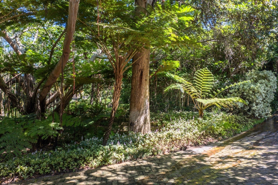 6 Bedroom Property for Sale in Keurbooms River Western Cape